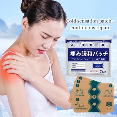 Japanese Pain Relief Patches (1 packet 7 pcs)